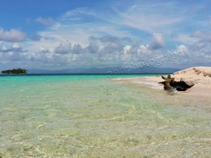 P1080687 watermarked