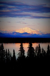 P1100888 watermarked