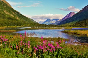 P1110083 watermarked