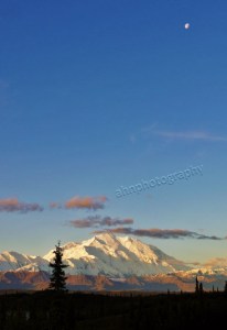 P1110811 watermarked