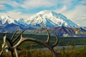 P1110882 watermarked